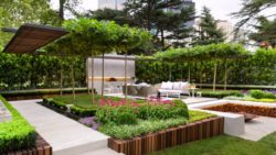 Jardín en casa